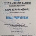 Powiększ obraz: certificate 11