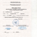 Powiększ obraz: certificate 7