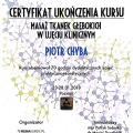 Powiększ obraz: certificate 7