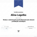 Powiększ obraz: certificate 18