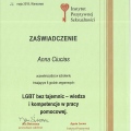 Powiększ obraz: certificate 3