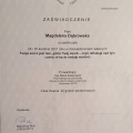 Powiększ obraz: certificate 6