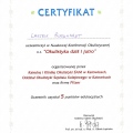 Powiększ obraz: certificate 29