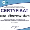 Powiększ obraz: certificate 9