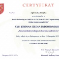 Powiększ obraz: certificate 3