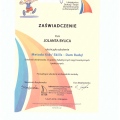 Powiększ obraz: certificate 6