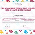 Powiększ obraz: certificate 7