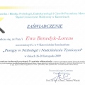 Powiększ obraz: certificate 20