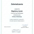 Powiększ obraz: certificate 9
