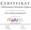 Powiększ obraz: certificate 4