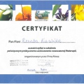 Powiększ obraz: certificate 7