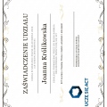 Powiększ obraz: certificate 1