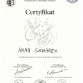 Powiększ obraz: certificate 33