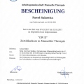 Powiększ obraz: certificate 12