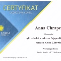 Powiększ obraz: certificate 12