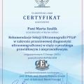 Powiększ obraz: certificate 3