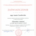 Powiększ obraz: certificate 7