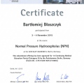 Powiększ obraz: certificate 8