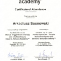 Powiększ obraz: certificate 20
