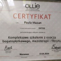 Powiększ obraz: certificate 10