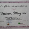Powiększ obraz: certificate 5