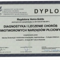 Powiększ obraz: certificate 71