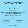 Powiększ obraz: certificate 15