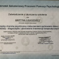 Powiększ obraz: certificate 1