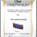 Powiększ obraz: certificate 24