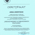 Powiększ obraz: certificate 5