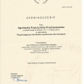 Powiększ obraz: certificate 3
