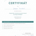 Powiększ obraz: certificate 13