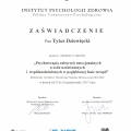 Powiększ obraz: certificate 2