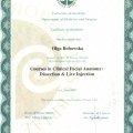 Powiększ obraz: certificate 40