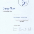 Powiększ obraz: certificate 5