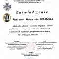 Powiększ obraz: certificate 12