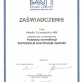 Powiększ obraz: certificate 11