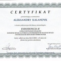 Powiększ obraz: certificate 5
