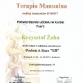 Powiększ obraz: certificate 31