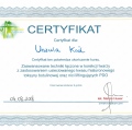 Powiększ obraz: certificate 7