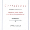 Powiększ obraz: certificate 7