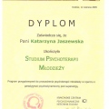Powiększ obraz: certificate 3