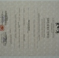 Powiększ obraz: certificate 4