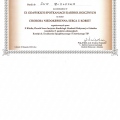 Powiększ obraz: certificate 32