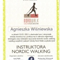 Powiększ obraz: certificate 6