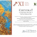Powiększ obraz: certificate 3