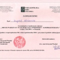 Powiększ obraz: certificate 44