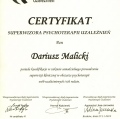 Powiększ obraz: certificate 2