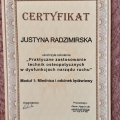 Powiększ obraz: certificate 4