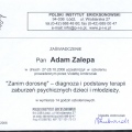 Powiększ obraz: certificate 3